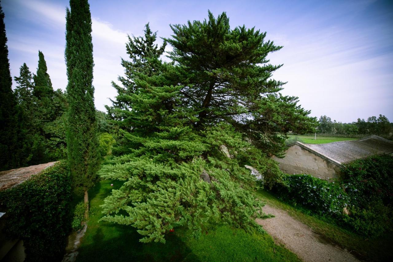 Masseria Perronello Country House Castellaneta Marina Buitenkant foto