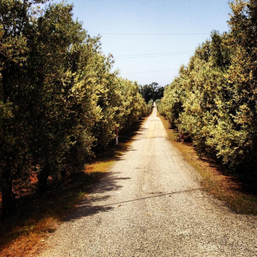 Masseria Perronello Country House Castellaneta Marina Buitenkant foto